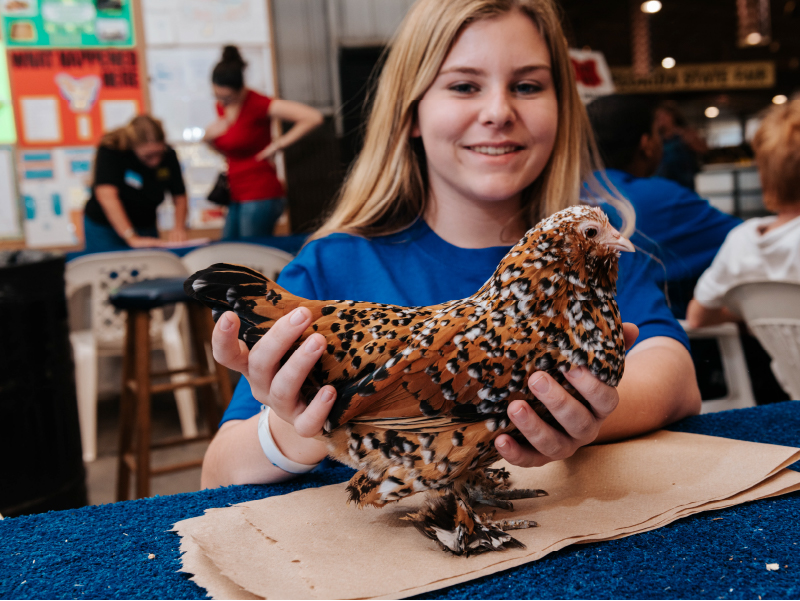 Exhibitor Ethics - Florida State Fair Agriculture